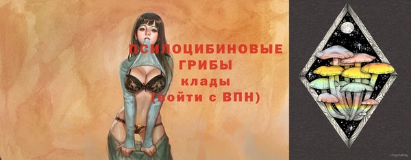 мескалин Гусев