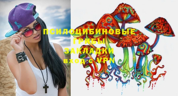 2c-b Гусиноозёрск