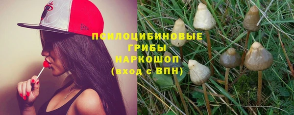 мескалин Гусев