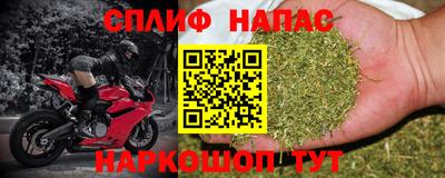 шишки Камышлов
