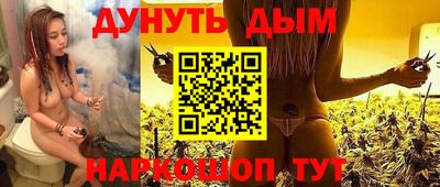 шишки Камышлов