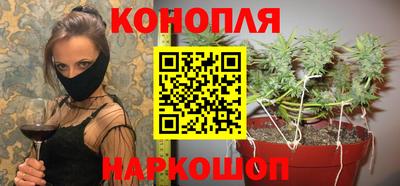 шишки Камышлов