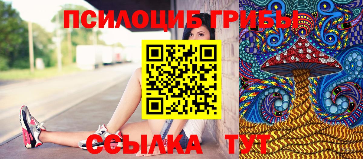 Галлюциногенные грибы мухоморы Междуреченск