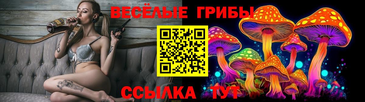 Галлюциногенные грибы мицелий Междуреченск